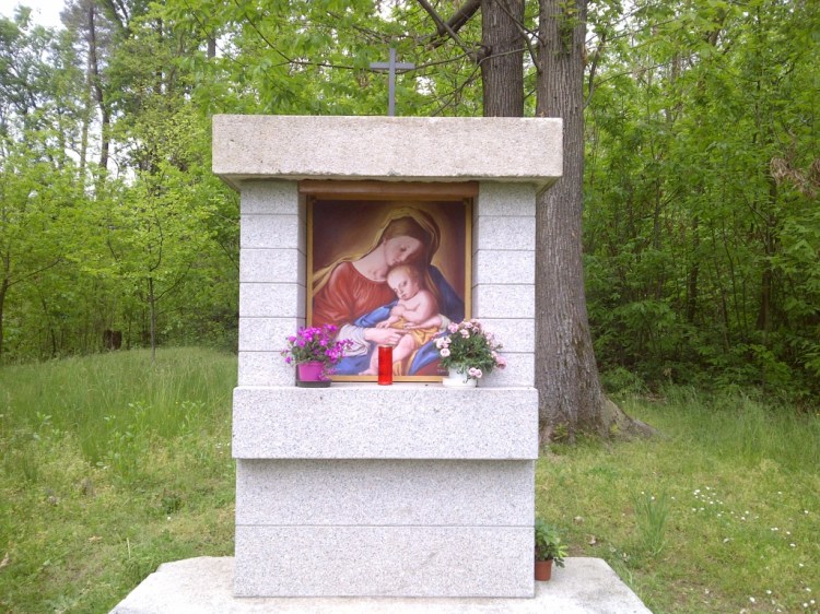 jerago-con-orago-20160430-00296